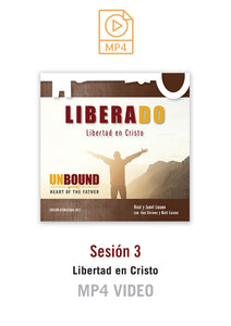 Liberado Sesíon 3: Libertad en Cristo MP4